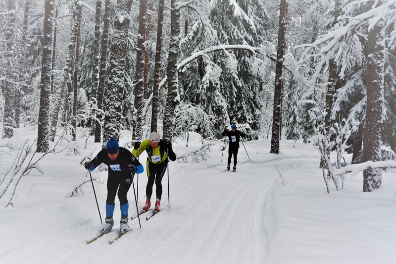 Klikkaamalla seuraava kuva